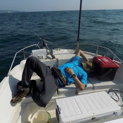 フィッシングボート空風(そらかぜ) 釣果