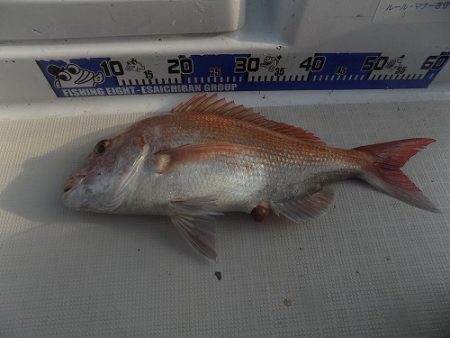 フィッシングボート空風(そらかぜ) 釣果