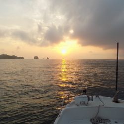 フィッシングボート空風(そらかぜ) 釣果