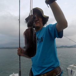 フィッシングボート空風(そらかぜ) 釣果