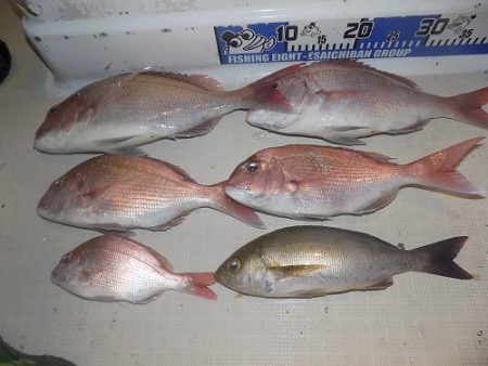 フィッシングボート空風(そらかぜ) 釣果