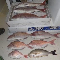 フィッシングボート空風(そらかぜ) 釣果