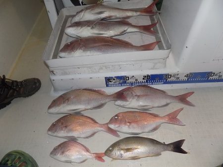 フィッシングボート空風(そらかぜ) 釣果