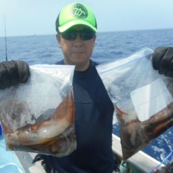 大進丸(愛知) 釣果