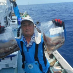 大進丸(愛知) 釣果