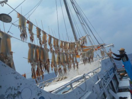 大進丸(愛知) 釣果