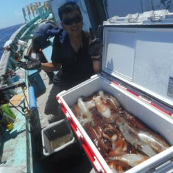 大進丸(愛知) 釣果