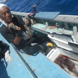 大進丸(愛知) 釣果