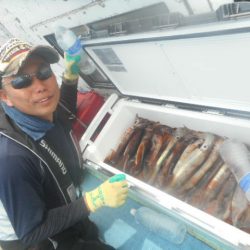 大進丸(愛知) 釣果