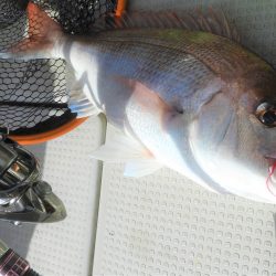 Fisherman Dreams DI 釣果