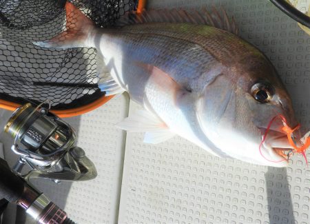 Fisherman Dreams DI 釣果