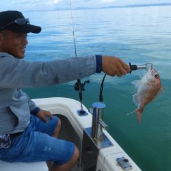 Fisherman Dreams DI 釣果