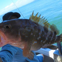 Fisherman Dreams DI 釣果