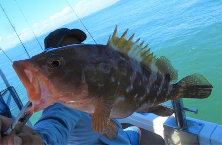 Fisherman Dreams DI 釣果