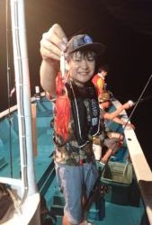 愛海丸 釣果