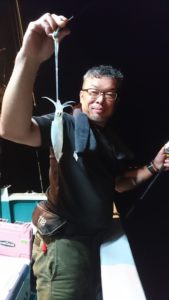 愛海丸 釣果