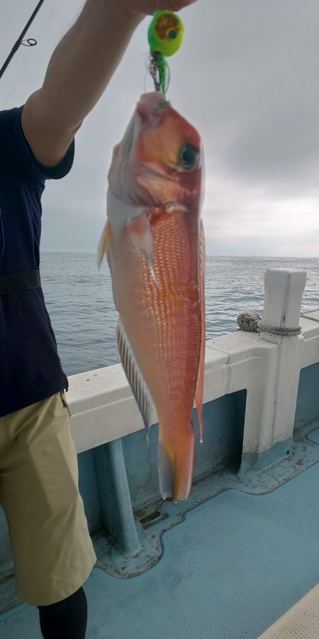 金剛丸 釣果