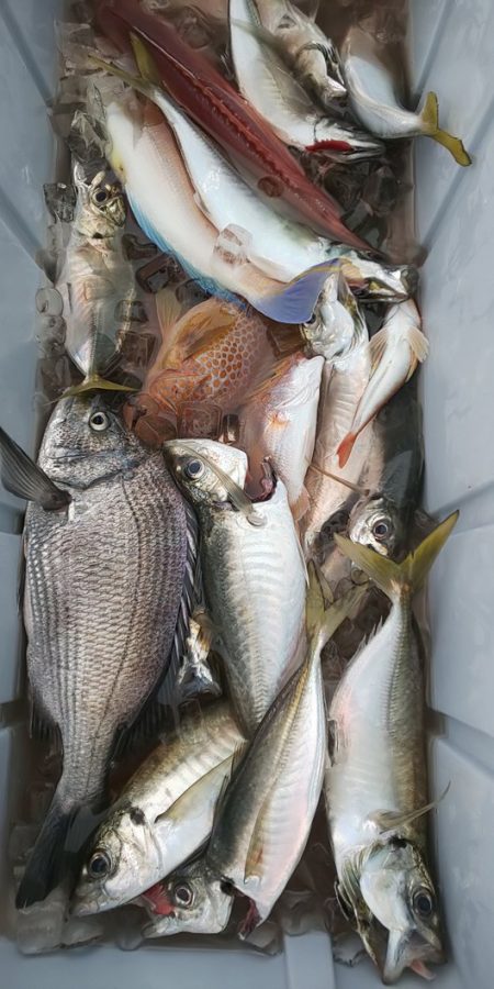 金剛丸 釣果