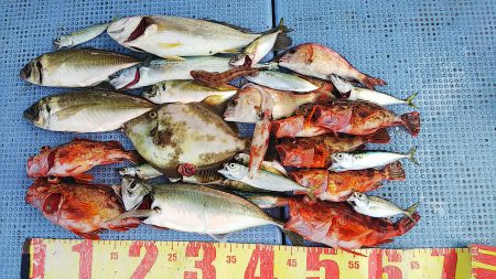 第二常豊丸 釣果