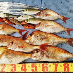 第二常豊丸 釣果