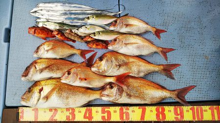 第二常豊丸 釣果