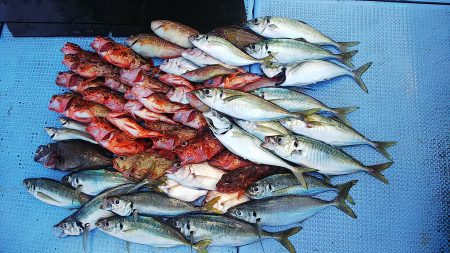 第二常豊丸 釣果