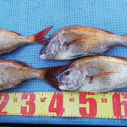 第二常豊丸 釣果