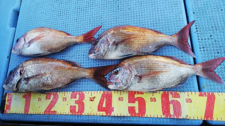 第二常豊丸 釣果