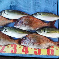 第二常豊丸 釣果