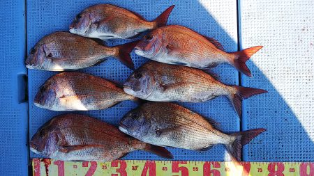 第二常豊丸 釣果