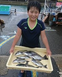 和歌山マリーナシティ釣り公園 釣果