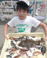 和歌山マリーナシティ釣り公園 釣果