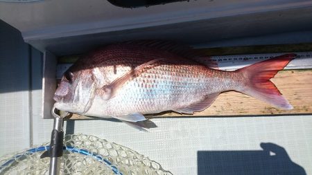 フィッシングボートACE(エース) 釣果