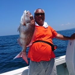 フィッシングボートACE(エース) 釣果