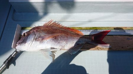 フィッシングボートACE(エース) 釣果