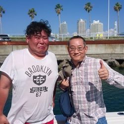 フィッシングボートACE(エース) 釣果