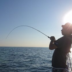 フィッシングボートACE(エース) 釣果