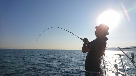 フィッシングボートACE(エース) 釣果