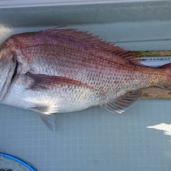 フィッシングボートACE(エース) 釣果