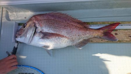 フィッシングボートACE(エース) 釣果