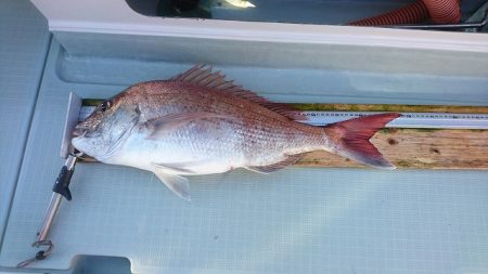 フィッシングボートACE(エース) 釣果