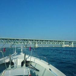 フィッシングボートACE(エース) 釣果