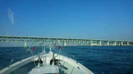 フィッシングボートACE(エース) 釣果