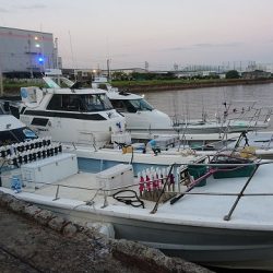 フィッシングボートACE(エース) 釣果