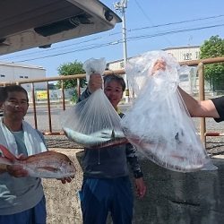 フィッシングボートACE(エース) 釣果