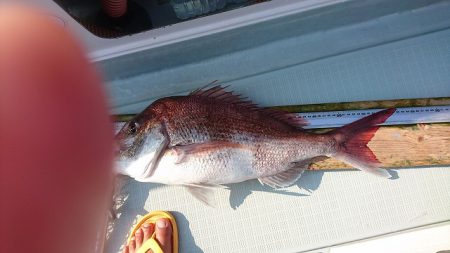 フィッシングボートACE(エース) 釣果