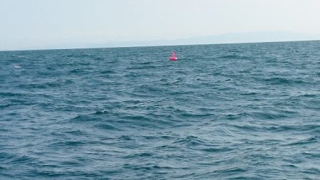 フィッシングボートACE(エース) 釣果