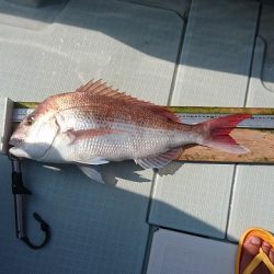 フィッシングボートACE(エース) 釣果