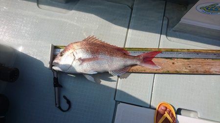 フィッシングボートACE(エース) 釣果