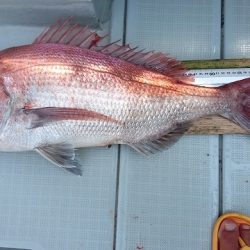 フィッシングボートACE(エース) 釣果